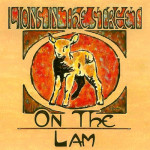 On the Lam